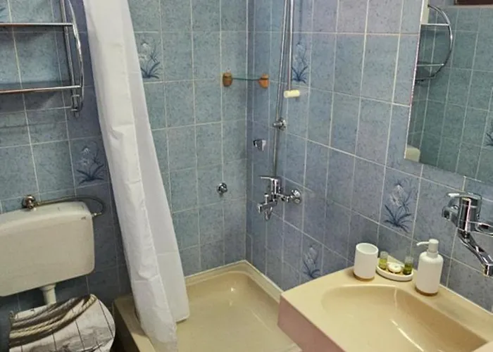 Pansion 8 Ferala Novigrad (Dalmatia)
